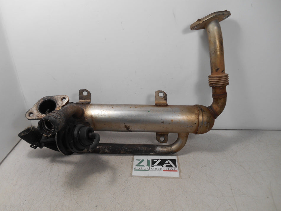 Radiatore EGR VW Passat 3C 2.0 140cv BMP 2007 03G131512S