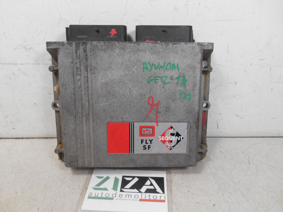 Centralina GPL Hyundai Getz 1.3 60kw 2004 DE813001-04 67R011002 110R001001