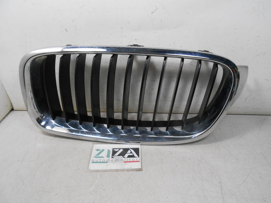 Griglia Anteriore Sinistra BMW F30 316D 2015 7255411 18801310